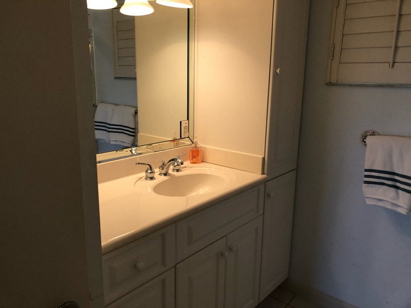 Guest Bath Vanity